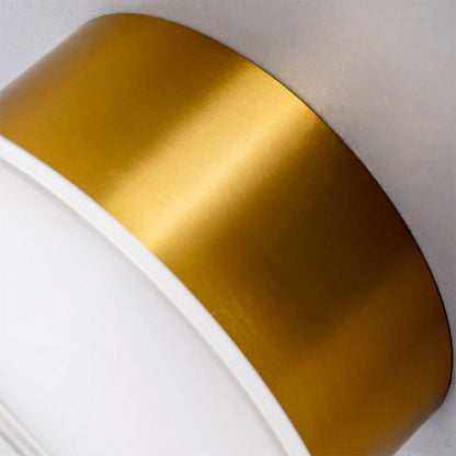 Danish Designer Acrylic LED Wall Lamp