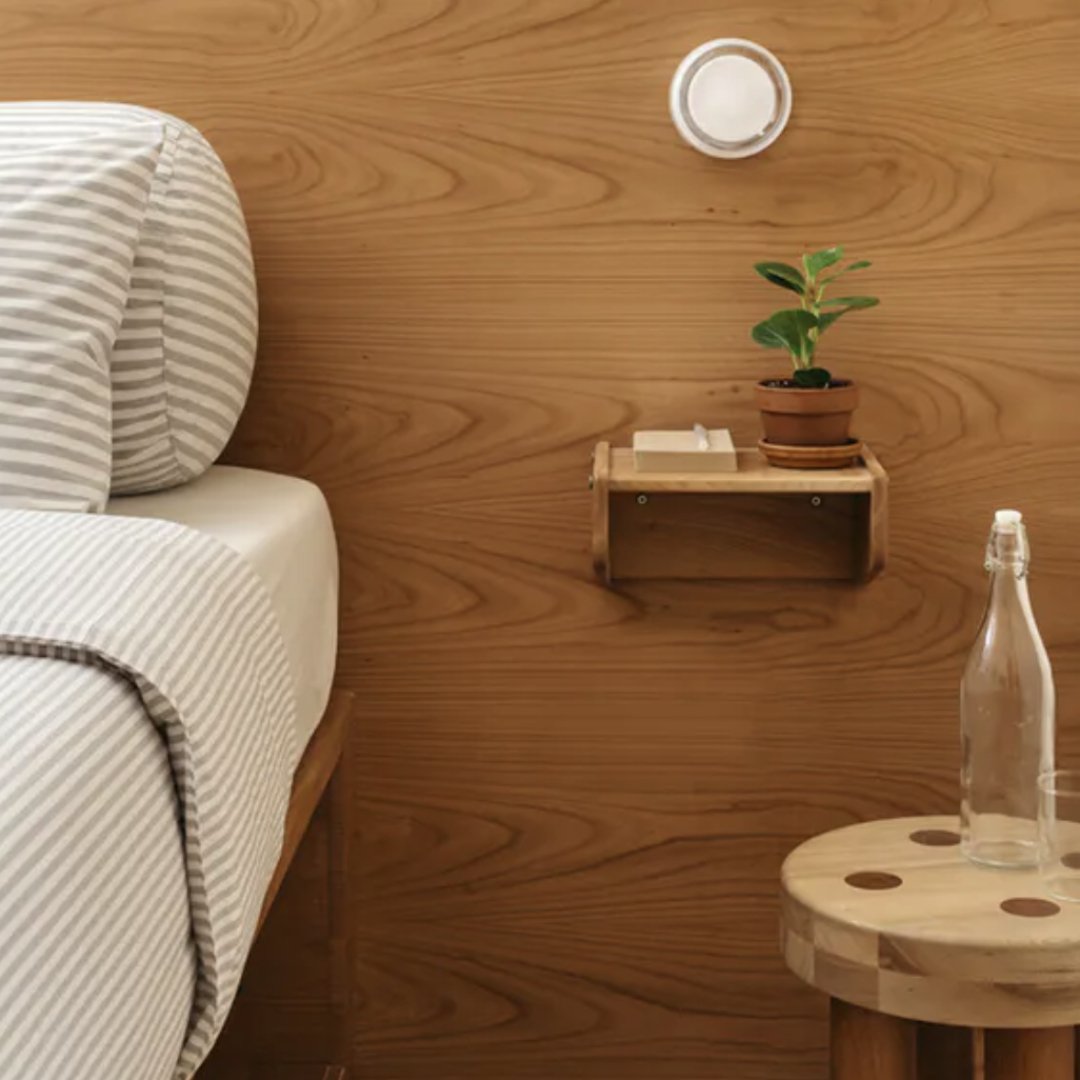 Danish Designer Acrylic LED Wall Lamp